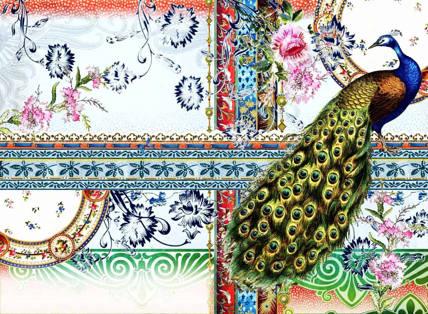 diamonds-wizard-diamond-painting-kits-Animals-Peacock-Peacock Postal Card-original.jpeg