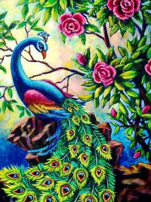 diamonds-wizard-diamond-painting-kits-Animals-Peacock-Peacock in Rose Garden-original.jpeg