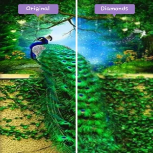 diamonds-wizard-diamond-painting-kits-animals-peacock-peacock-in-the-garden-before-after-webp