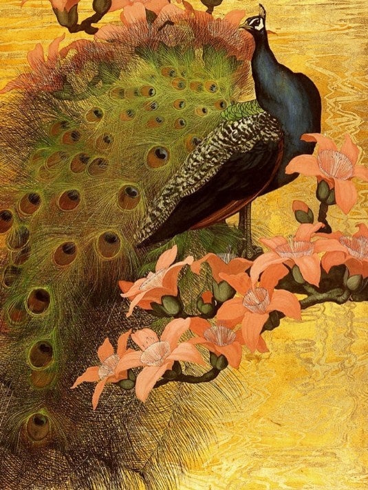 diamonds-wizard-diamond-painting-kits-Animals-Peacock-Peacock on a Branch-original.jpeg