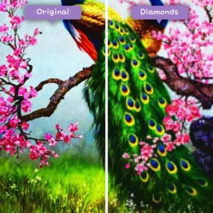 diamonds-wizard-diamond-painting-kits-animals-peacock-peacocks-in-bloom-before-after-webp