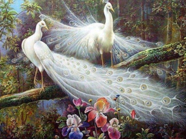 diamonds-wizard-diamond-painting-kits-Animals-Peacock-White Peacocks in the Forest-original.jpeg