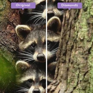 Diamonds-Wizard-Diamond-Painting-Kits-Animals-Raccoon-Raccoons-peeking-out-before-after-webp