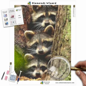 Diamonds-Wizard-Diamond-Painting-Kits-Animals-Raccoon-Raccoons-peeking-out-canva-webp
