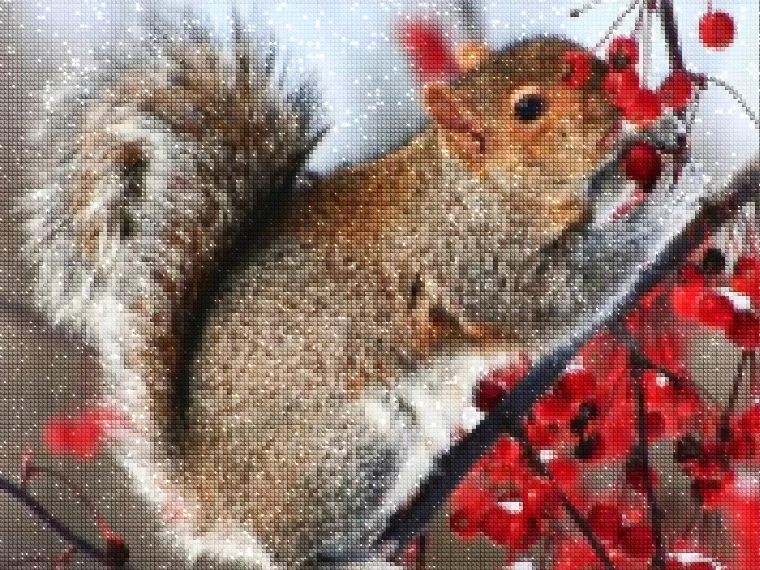 diamanti-mago-kit-pittura-diamante-Animali-scoiattolo-scoiattolo che mangia bacche rosse-diamonds.webp
