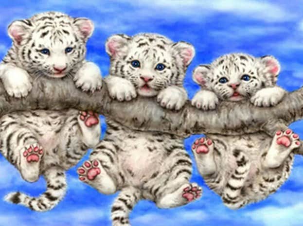 diamanter-veiviser-diamant-malesett-Dyr-Tiger-Little Tiger Cubs på en Branch-original.jpeg