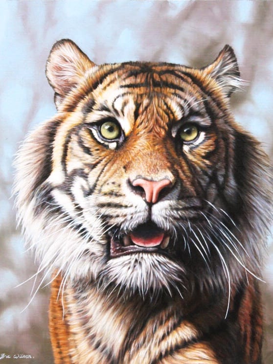 diamantes-mago-kits-de-pintura-de-diamantes-Animales-Tigre-Mighty Tiger-original.jpeg