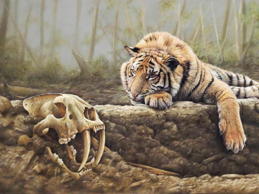 diamonds-wizard-diamond-painting-kit-Animals-Tiger-Tiger in the Forest-original.jpeg
