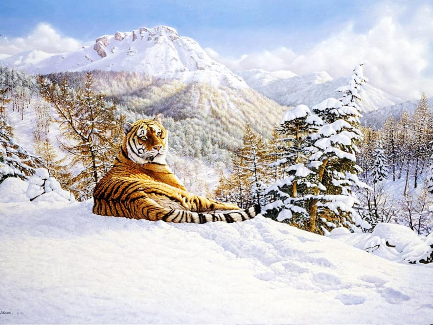 diamonds-wizard-diamond-painting-kits-Animals-Tiger-Winter Tiger-original.jpeg