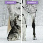 diamonds-wizard-diamond-painting-kits-animals-wolf-beautiful-horse-and-puppy-in-the-snow-before-after-webp