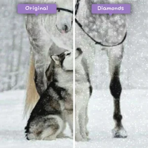 diamants-wizard-diamond-painting-kits-animaux-loup-beau-cheval-et-chiot-dans-la-neige-avant-apres-webp