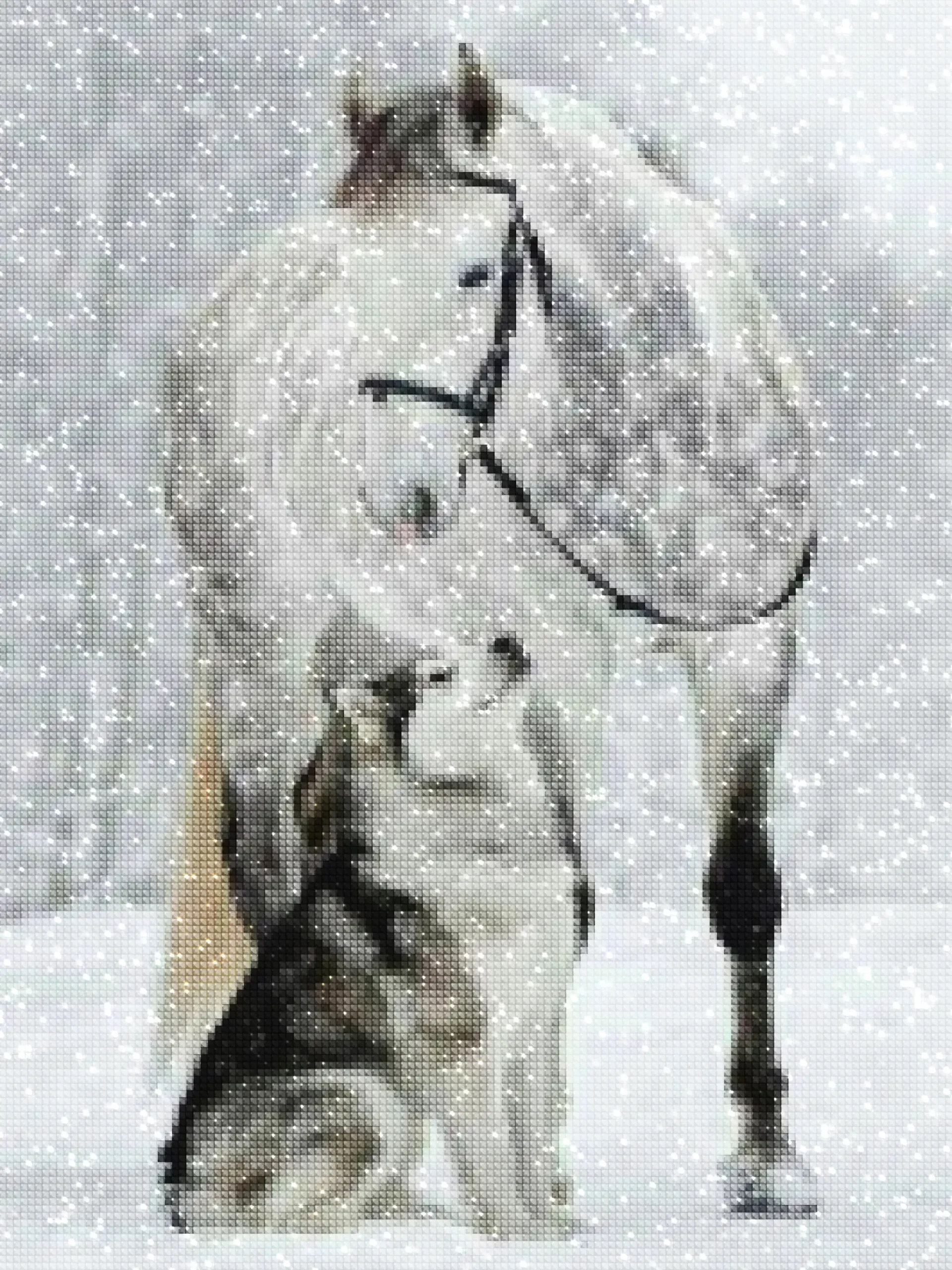 diamanten-tovenaar-diamant-schilderpakketten-dieren-wolf-mooi paard en puppy in de sneeuw-diamonds.webp