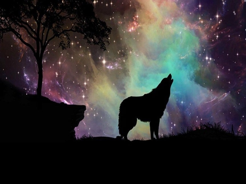 diamanter-trollkarl-diamant-målningssatser-Animals-Wolf-Cosmic Wolf-original.jpeg
