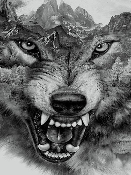 Diamonds-Wizard-Diamond-Painting-Kits-Animals-Wolf-Ferocious Wolf-original.jpeg