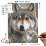 diamants-assistant-diamond-painting-kits-animaux-loup-gris-wolf-stare-canva-webp