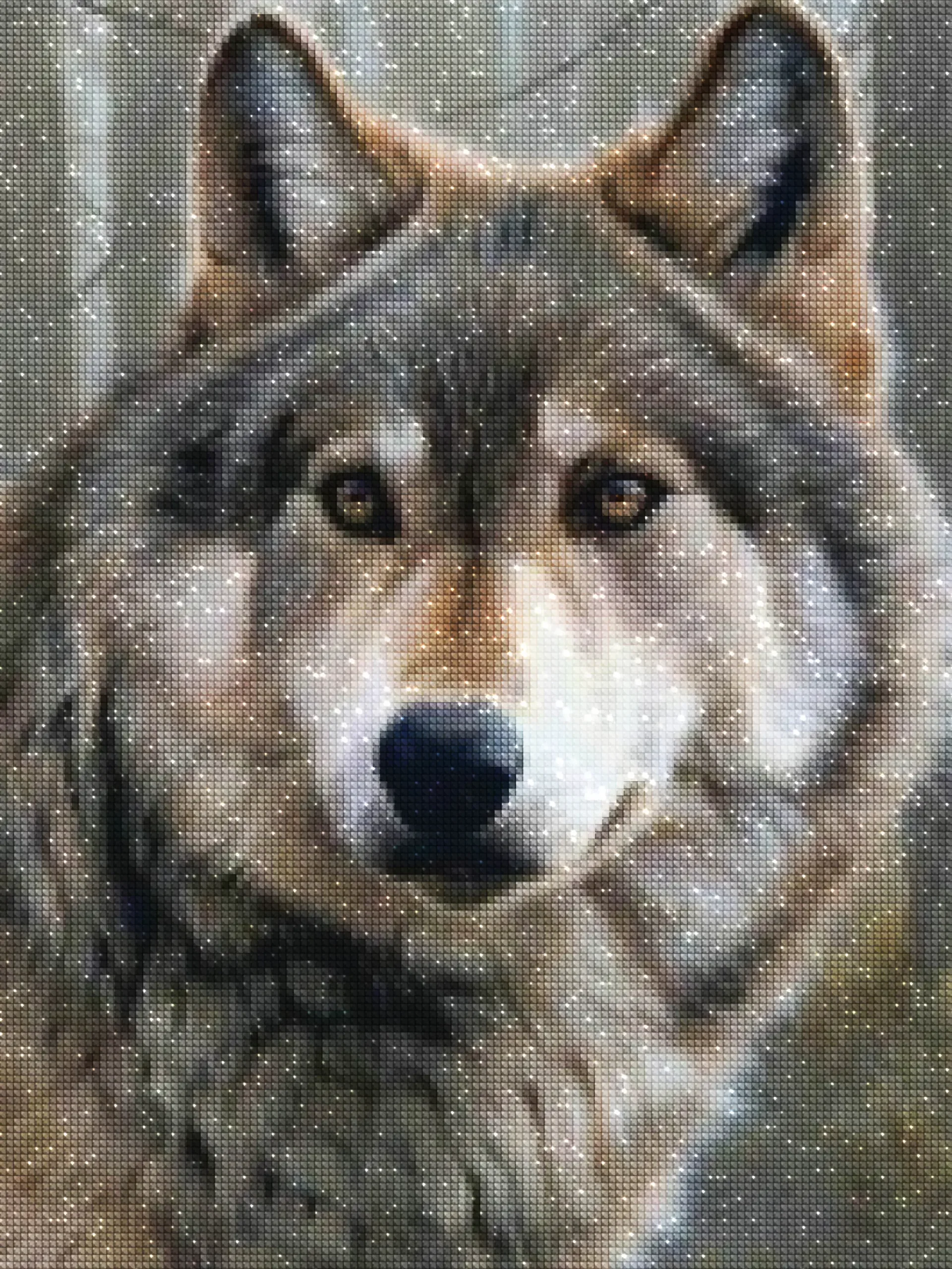 Diamonds-Wizard-Diamond-Painting-Kits-Animals-Wolf-Gray Wolf Stare-diamonds.webp