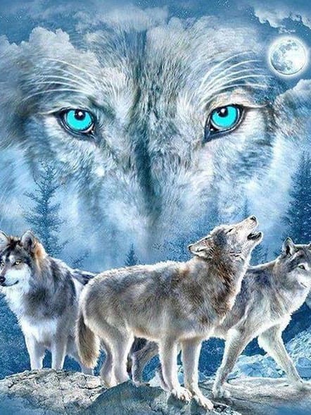diamanter-trollkarl-diamant-målningssatser-Djur-Wolf-Hylande White Wolf Pack-original.jpeg