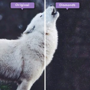 diamonds-wizard-diamond-painting-kits-animals-wolf-howling-white-wolf-before-after-webp