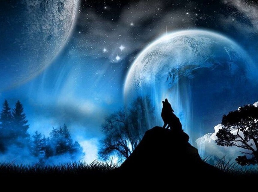 diamonds-wizard-diamond-painting-kits-Animals-Wolf-Howling at the Moon-original.jpeg