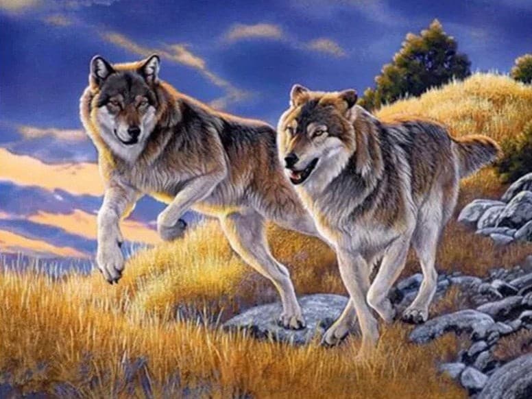 diamenty-czarodziej-zestawy-do-diamentowego-malowania-Zwierzęta-Wilk-Running Wolves-original.jpeg