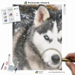 Diamonds-Wizard-Diamond-Painting-Kits-Tiere-Wolf-der-Siberian-Husky-Canva-Webp