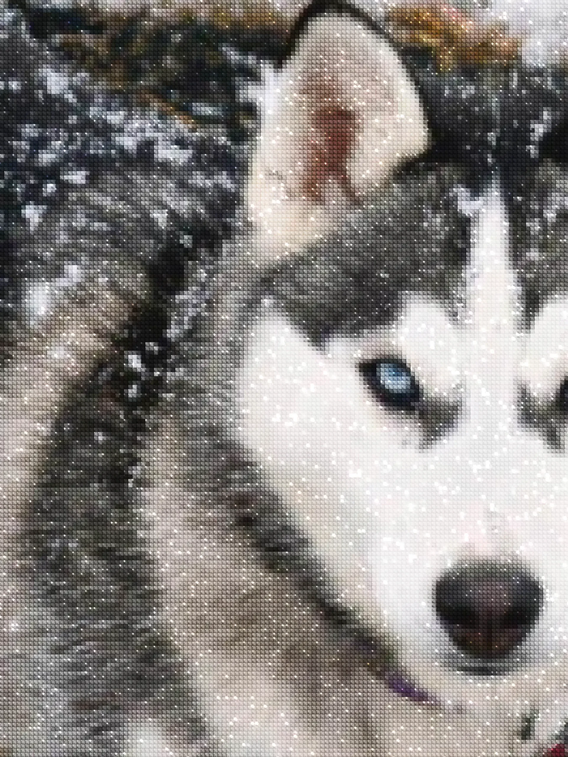 diamanter-trollkarl-diamant-målningssatser-Djur-Wolf-The Siberian Husky-diamonds.webp