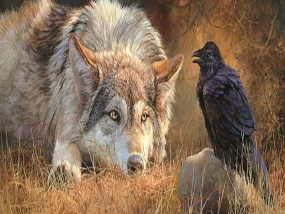 diamonds-wizard-diamond-painting-kit-Animals-Wolf-The Wolf and the Raven-original.jpeg