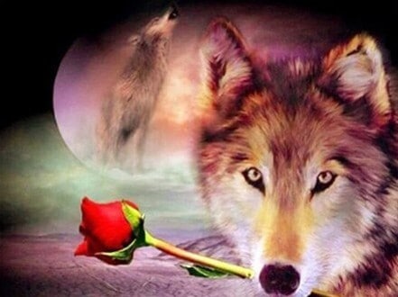 diamonds-wizard-diamond-painting-kit-Animals-Wolf-The Wolf and the Rose-original.jpeg