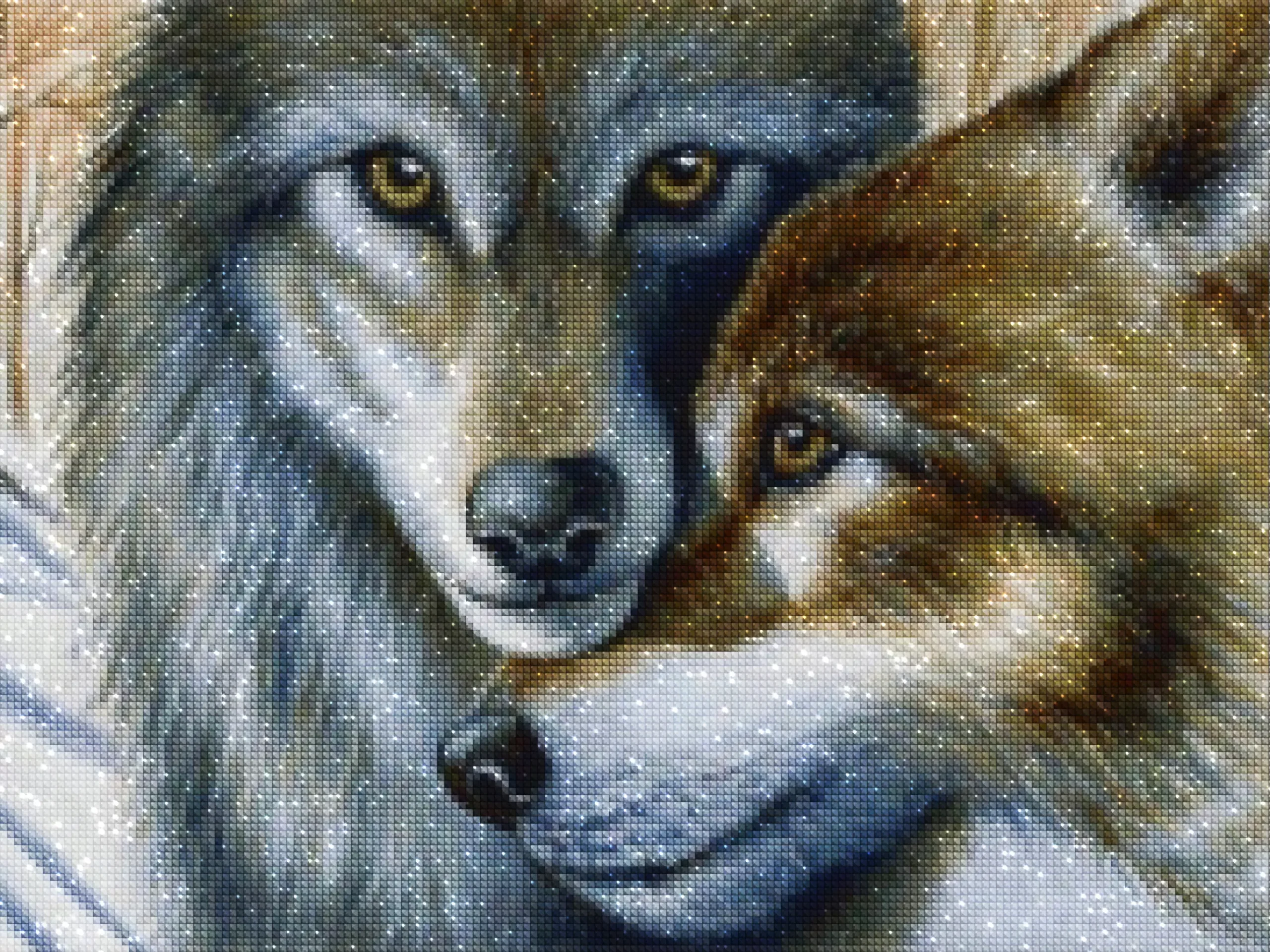 diamanter-trollkarl-diamant-målningssatser-Djur-Wolf-Wild Wolves-diamonds.webp