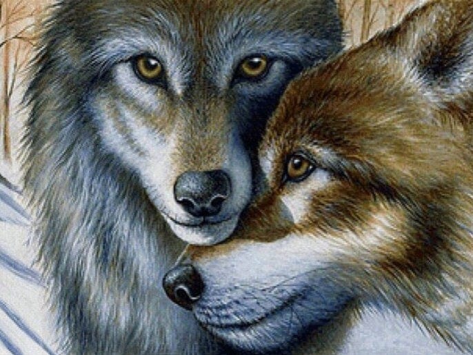 diamanten-wizard-diamond-painting-kits-Animals-Wolf-Wild Wolves-original.jpeg