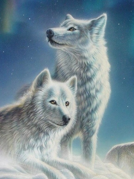 Diamonds-Wizard-Diamond-Painting-Kits-Tiere-Wolf-Winterwölfe-original.jpeg