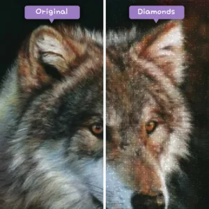 diamonds-wizard-diamond-painting-kits-animals-wolf-wise-guardian-the-majestic-brown-wolf-before-after-webp