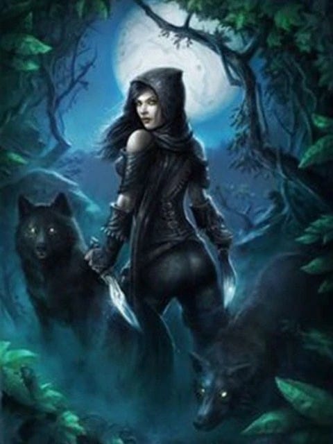 diamanten-wizard-diamond-painting-kits-Animals-Wolf-Witch in the Woods-original.jpeg