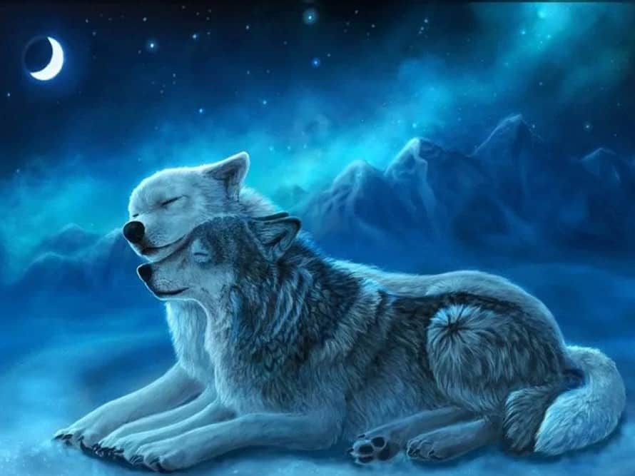 diamonds-wizard-diamond-painting-kit-Animals-Wolf-Wolf Moon-original.jpeg