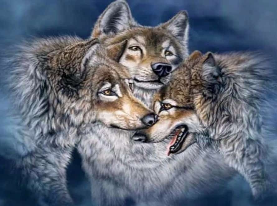 Diamonds-Wizard-Diamond-Painting-Kits-Animals-Wolf-Wolf-Pack-original.jpg
