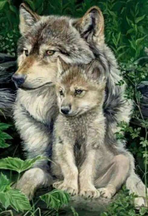 diamonds-wizard-diamond-painting-kits-Animals-Wolf-Wolf and Cub Sitting in a Forest-original.jpeg