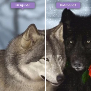 diamanter-troldmand-diamant-maleri-sæt-dyr-ulve-ulv-og-rød-rose-før-efter-webp