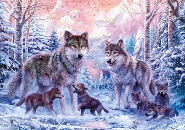 diamenty-czarodziej-zestawy do malowania diamentów-zwierzęta-wilk-rodzina wilków w śniegu-original.jpeg