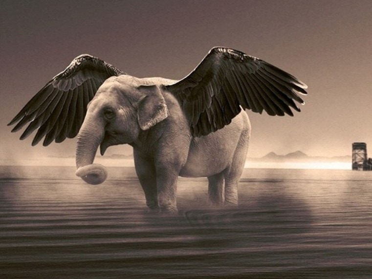 diamanter-trollkarl-diamant-målningssatser-Fantasy-Elephant-Winged Elephant-original.jpeg