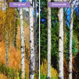 diamonds-wizard-diamond-painting-kits-landscape-forest-autumn-aspens-before-after-webp