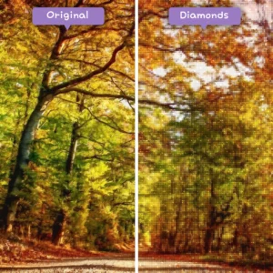 diamanti-mago-kit-pittura-diamante-paesaggio-foresta-autunno-strada-prima-dopo-webp