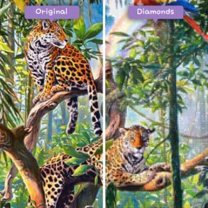 diamonds-wizard-diamond-painting-kits-landscape-jungle-rainforest-jungle-before-after-webp