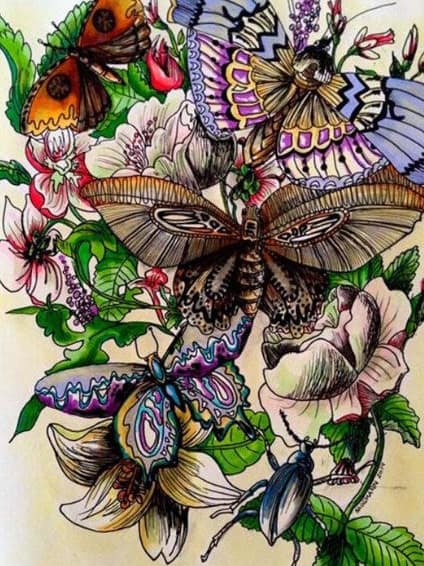 diamants-wizard-diamond-painting-kits-Nature-Butterfly-Buttefly Garden-original.jpg