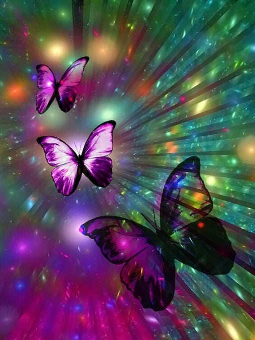 kits-de-pintura-de-diamantes-mago-de-diamantes-Naturaleza-Mariposa-Butterfly Frenzy-original.jpg