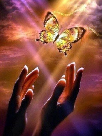 diamonds-wizard-diamond-painting-kits-Nature-Butterfly-Butterfly in the sky-original.jpg