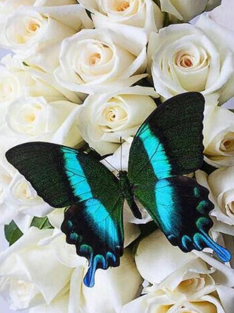 diamanti-mago-kit-pittura-diamante-natura-farfalla-farfalla su un mazzo di rose bianche-originale.jpg