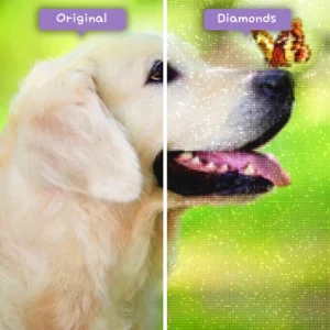 diamonds-wizard-diamond-painting-kits-nature-butterfly-golden-retriever-with-butterfly-before-after-webp