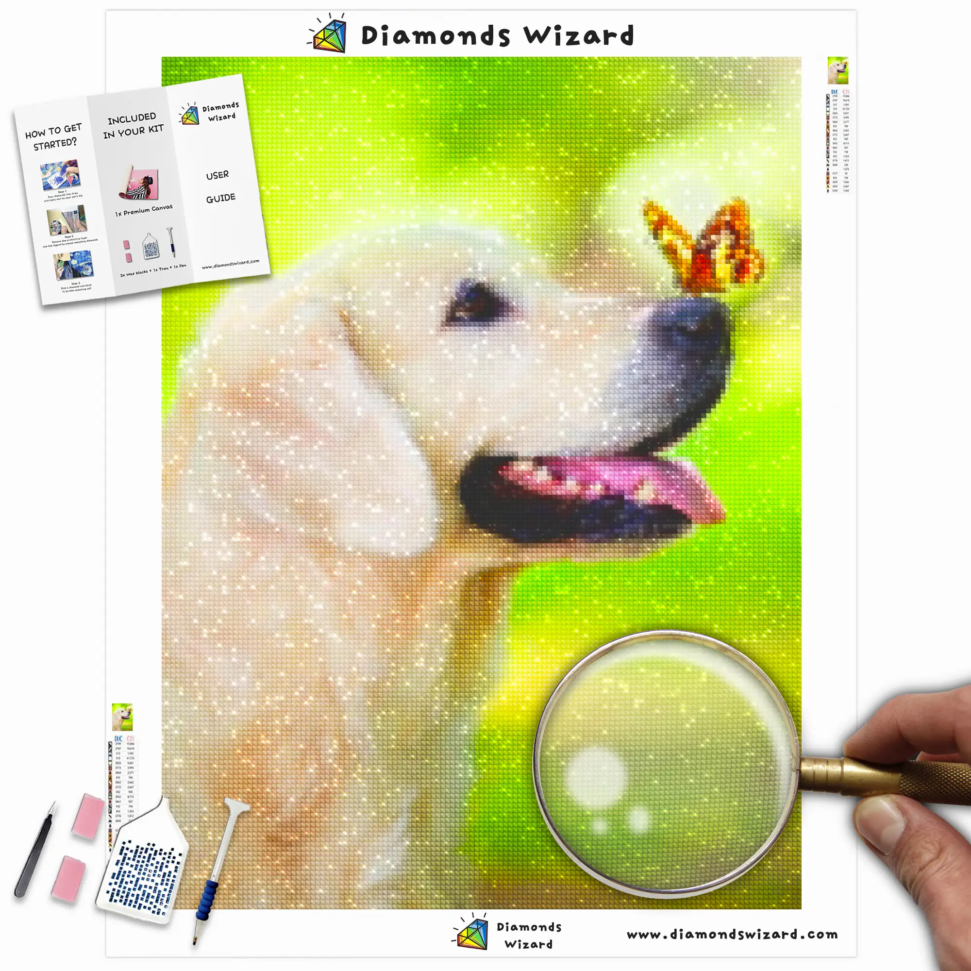Diamond Wizard Diamond Painting Kits Natur Schmetterling Golden Retriever mit Schmetterling Canvas Webp