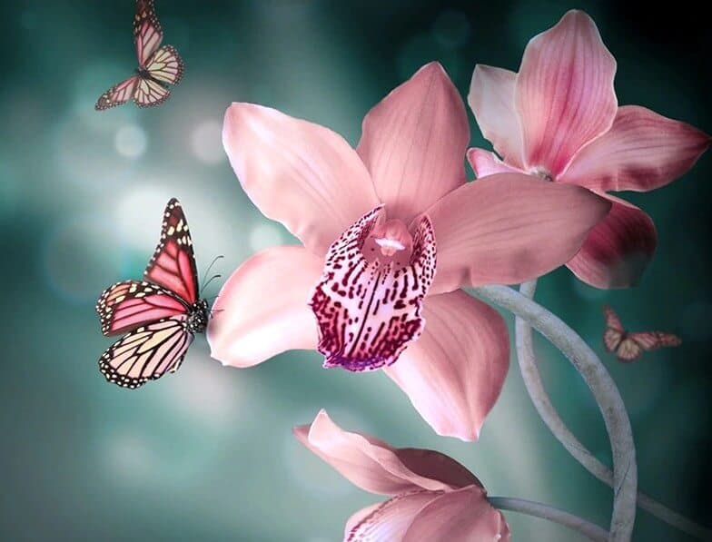 Diamonds-Wizard-Diamond-Painting-Kits-Nature-Butterfly-Pink Orchid and Butterflies-original.jpeg