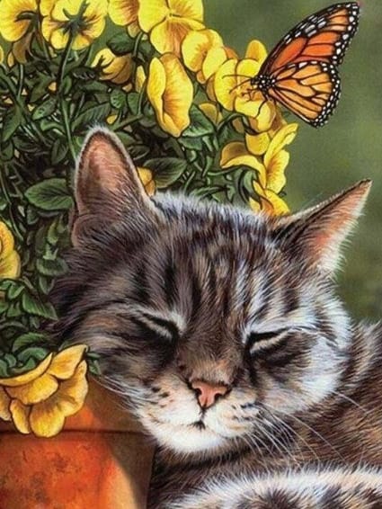 diamanter-trollkarl-diamant-målningssatser-Natur-Fjäril-Sovande katt med fjärilar-original.jpg